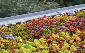 the cost of Cefn Bryn Brain green roof installation